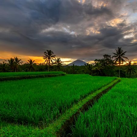Kawi Resort A Pramana Experience Tegallalang  Ngoại thất bức ảnh