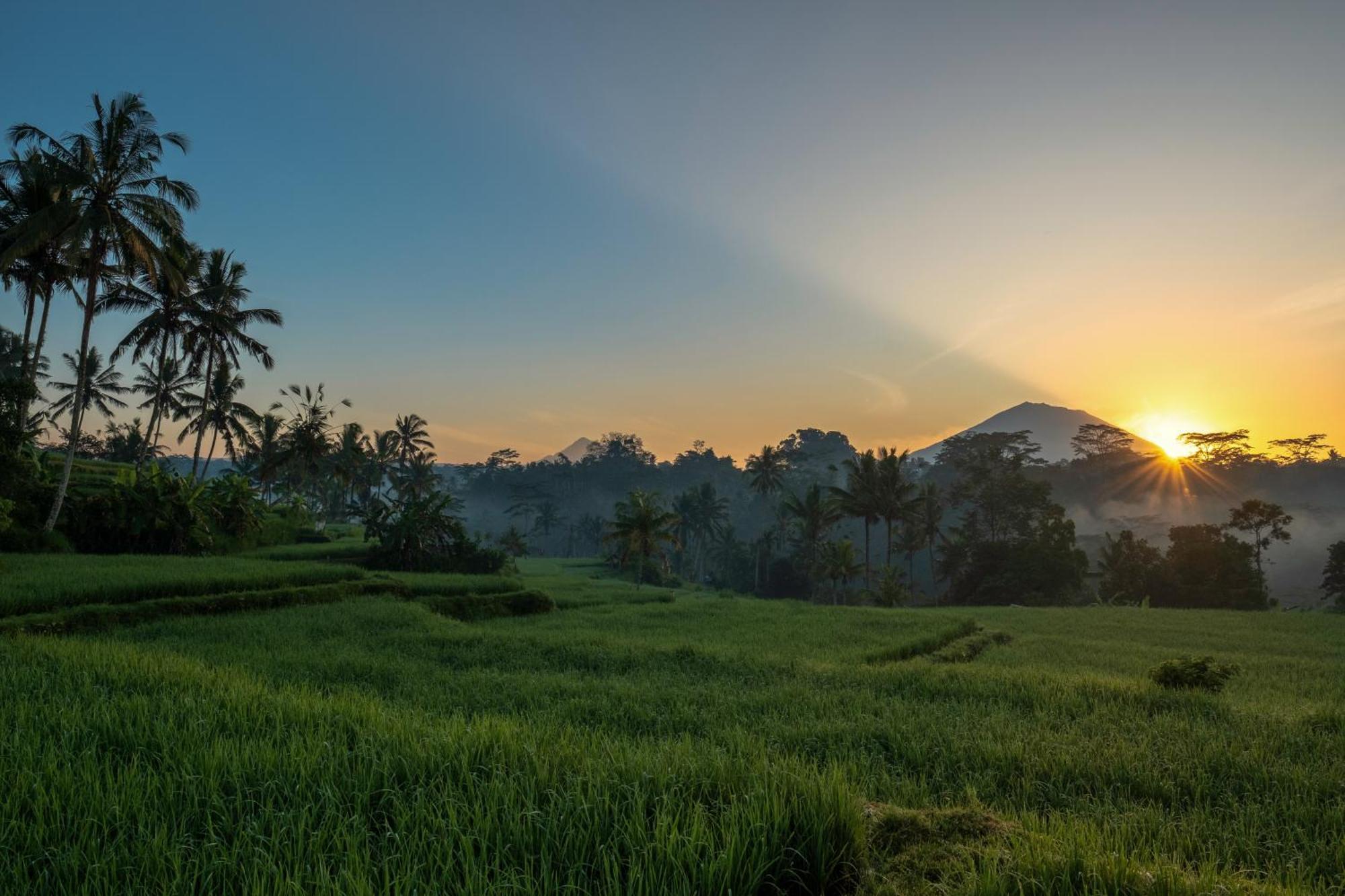 Kawi Resort A Pramana Experience Tegallalang  Ngoại thất bức ảnh
